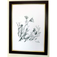 ДИВИ ЦВЕТЯ ДИВИ ЦВЕТЯ